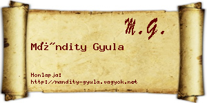 Mándity Gyula névjegykártya